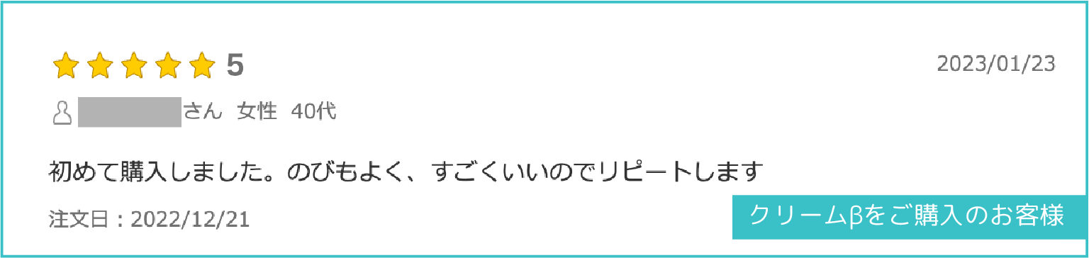レビュー4