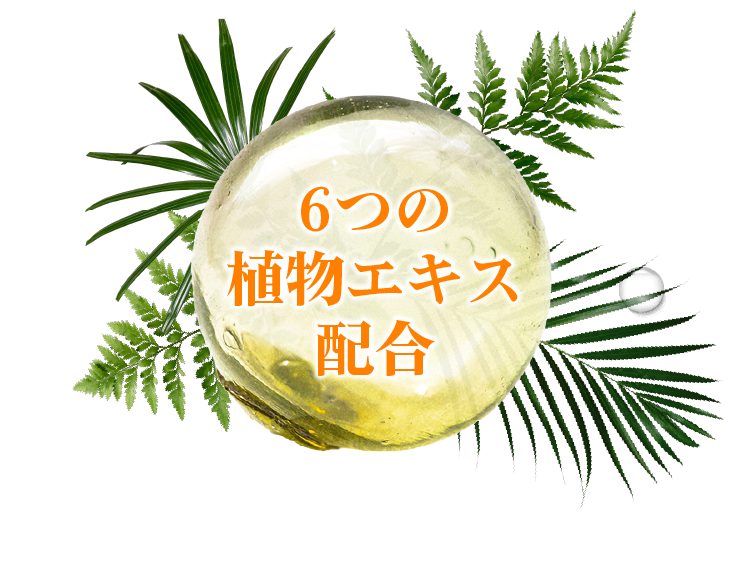 ６つの植物エキス配合